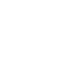 Download as PDF